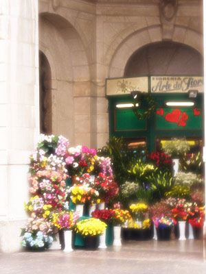 花屋の写真